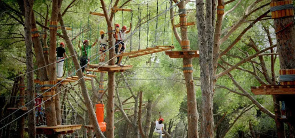 I percorsi acrobatici sospesi tra gli alberi dell’Adventure Park Cerrano