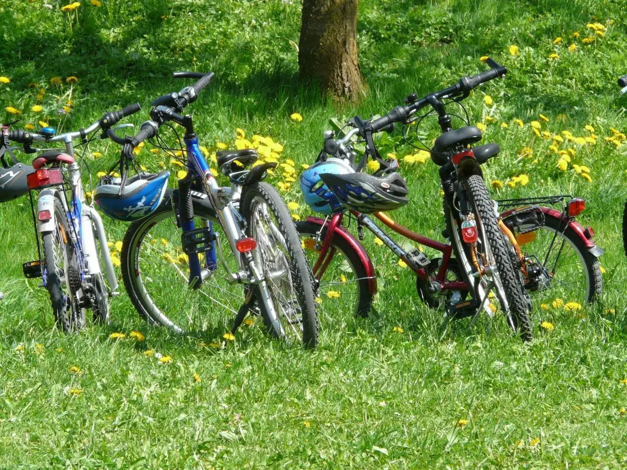 Biciclette parcheggiate su un prato fiorito