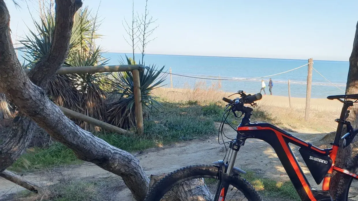 Una e-bike tra i pini, con la staccionata e il mare alle spalle