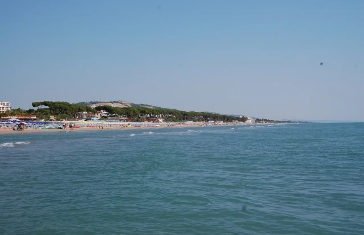 Il litorale di Pineto visto dal mare, con la spiaggia, gli ombrelloni e la pineta alle spalle
