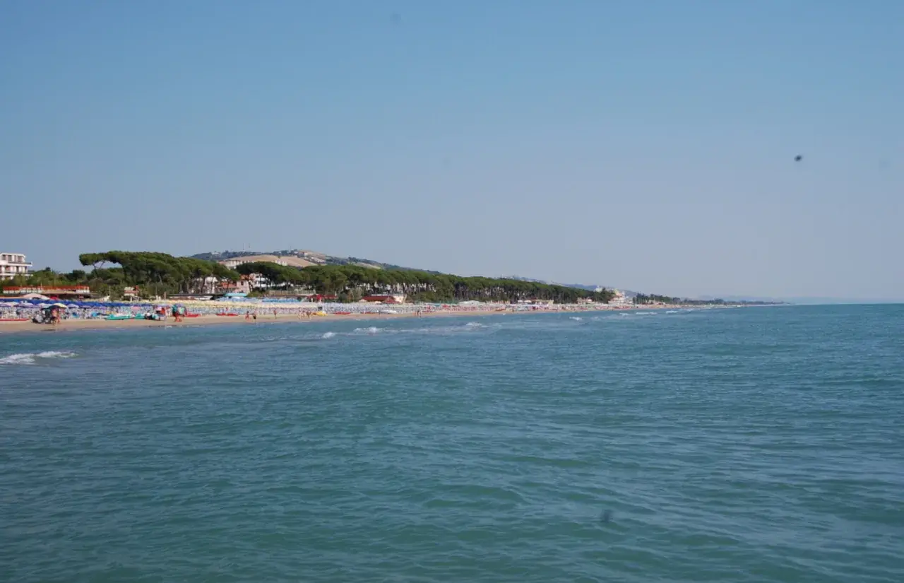 Il litorale di Pineto visto dal mare, con la spiaggia, gli ombrelloni e la pineta alle spalle