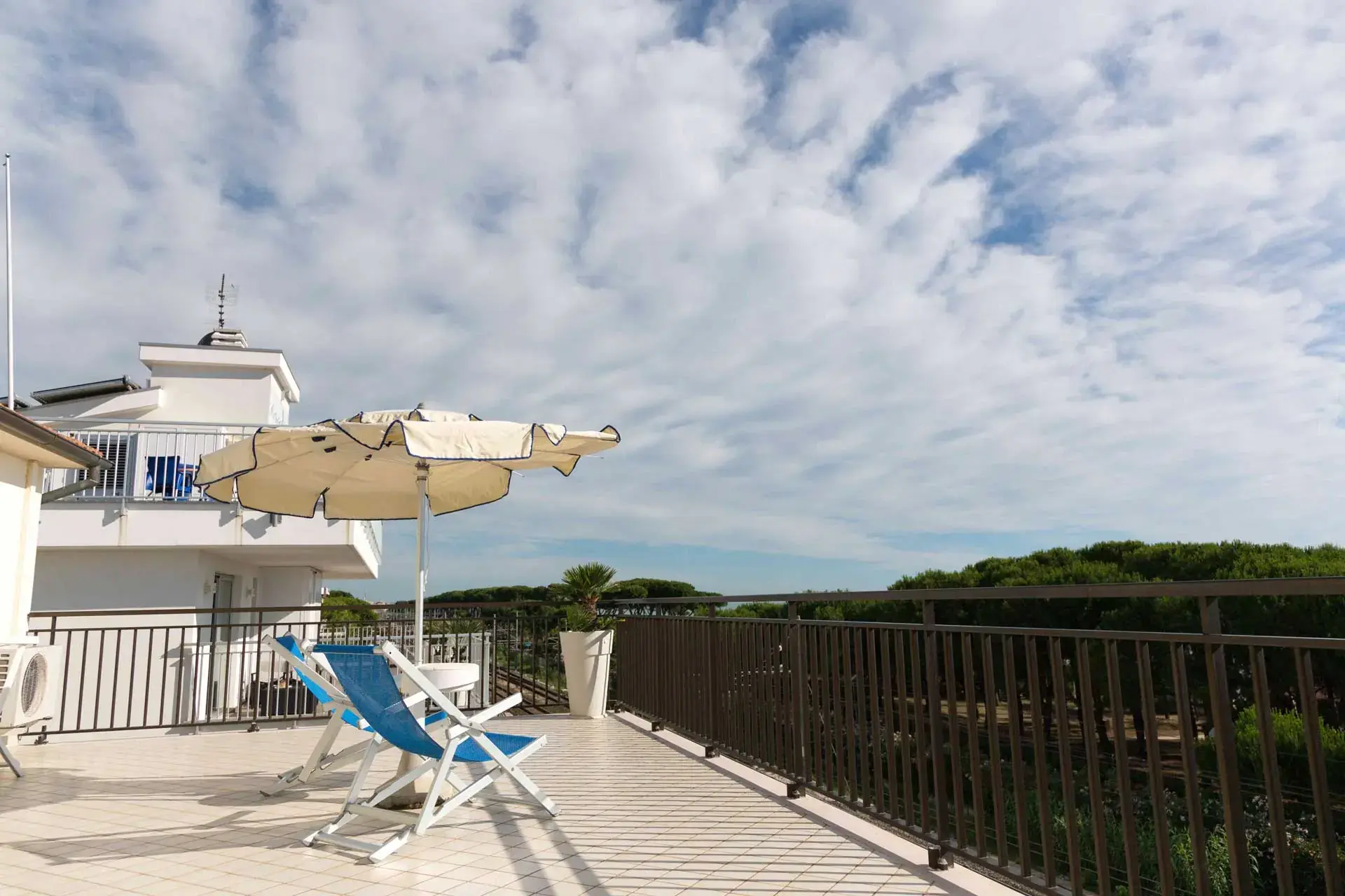 Il solarium panoramico del Miramare Hotel di Pineto, sopra la pineta