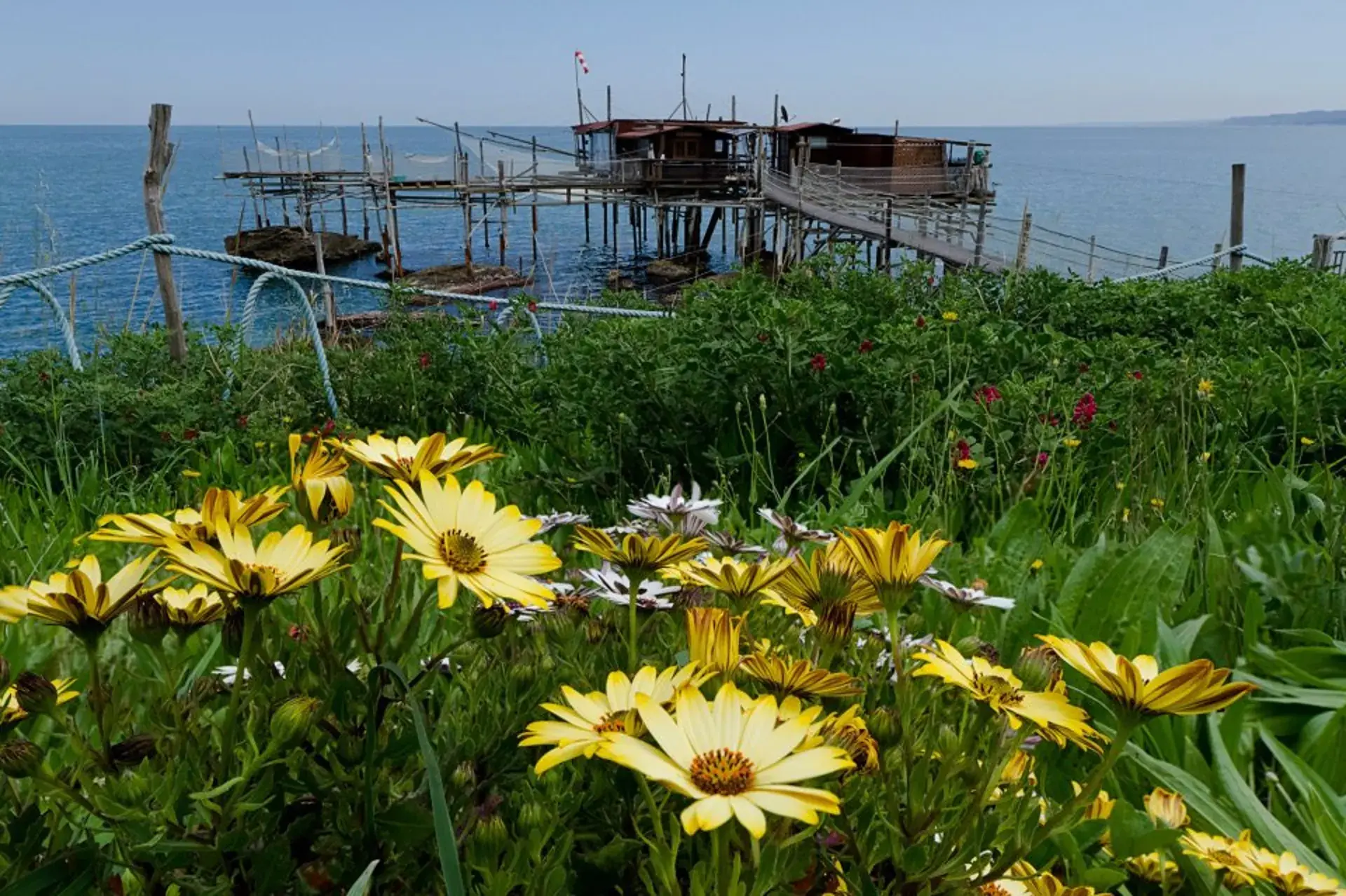 Un trabocco sul mare della Costa dei Trabocchi, con i fiori in primo piano
