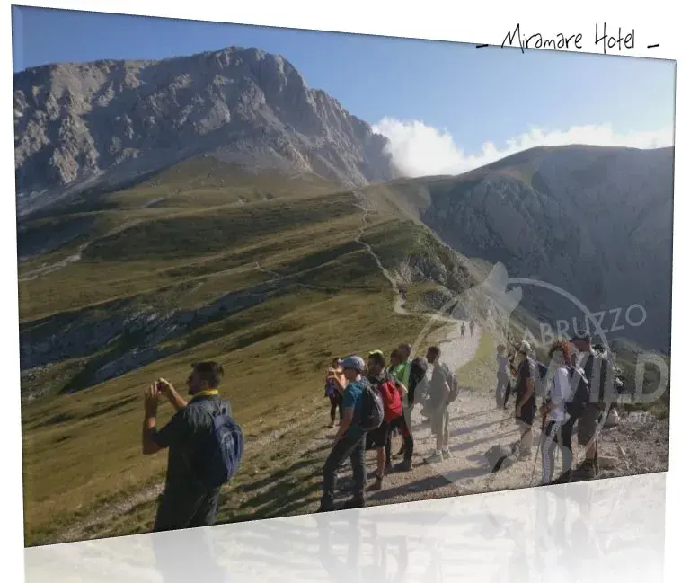 Un gruppo di escursionisti su un sentiero di montagna