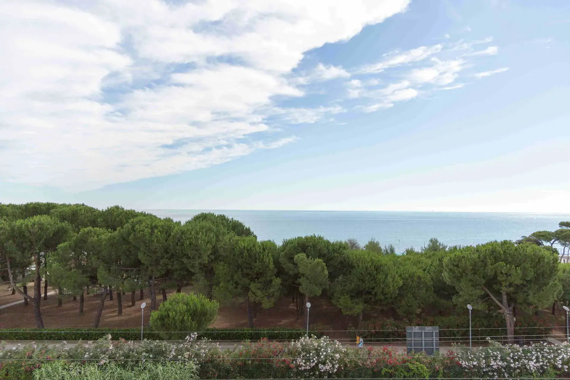 La pineta di Pineto affacciata sul mare Adriatico