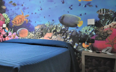 Pacchetto Pernottamento e Degustazione “Experience”