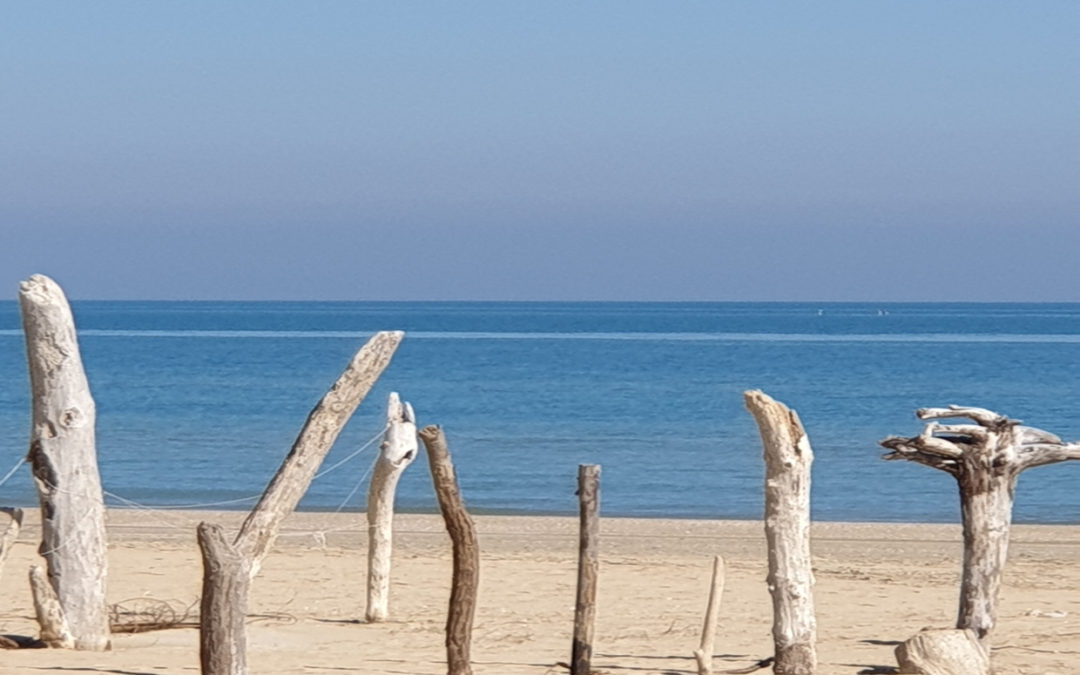 … ma la primavera non lo sapeva !!!