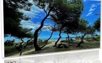 GIUGNO…SOGGIORNO LIBERO al Miramare Hotel!